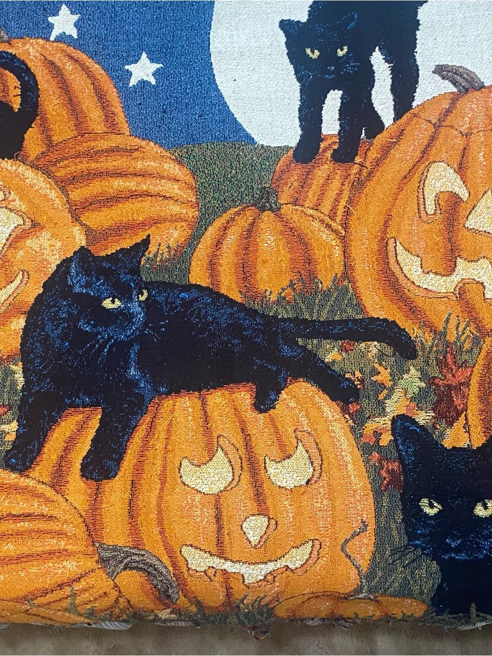 Halloween Pumpkin & Black Cat Decorative Throw - Orange/Black